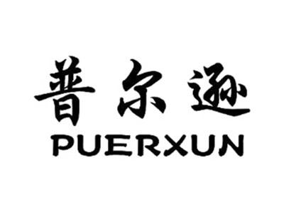 普尔逊