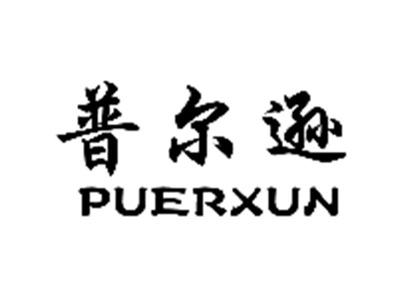 普尔逊