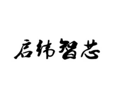 启纬智芯