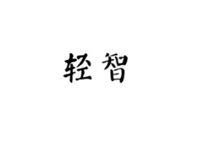 轻智