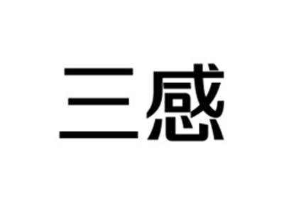 三感