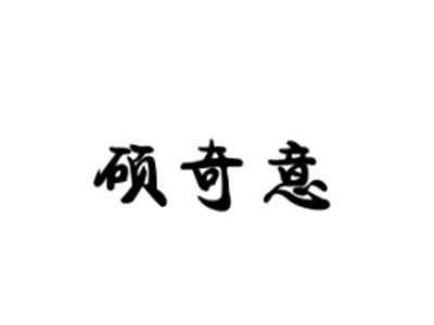 硕奇意
