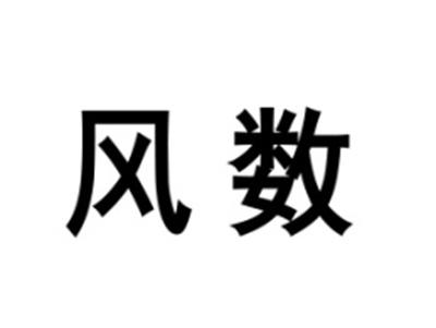 风数