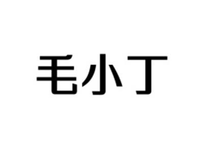 毛小丁