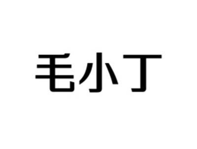 毛小丁