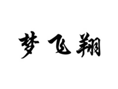梦飞翔