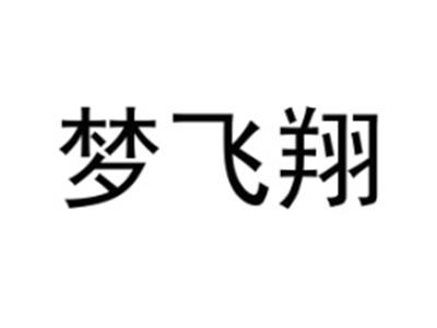 梦飞翔
