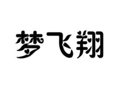 梦飞翔
