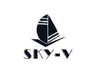 图形+SKYV