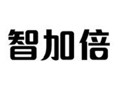 智加倍
