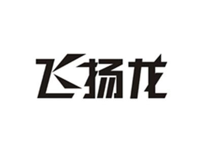 飞扬龙