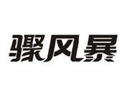 骤风暴