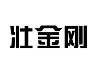 壮金刚