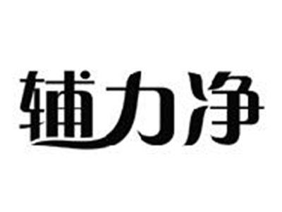 辅力净