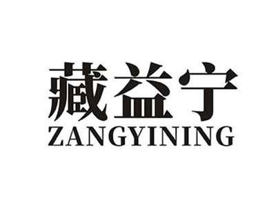 藏益宁