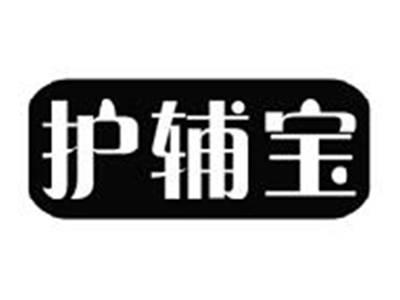 护辅宝