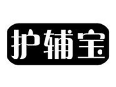 护辅宝