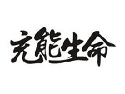 充能生命