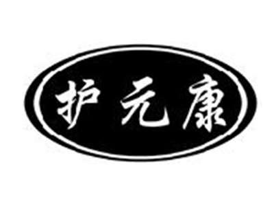 护元康