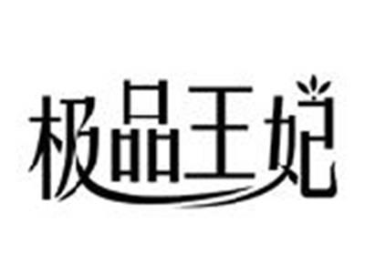极品王妃