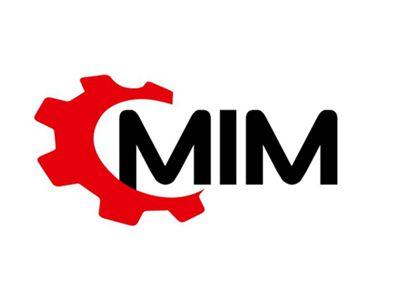 CMIM