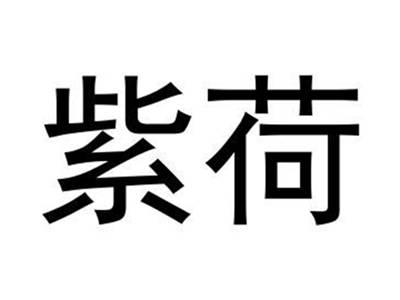 紫荷