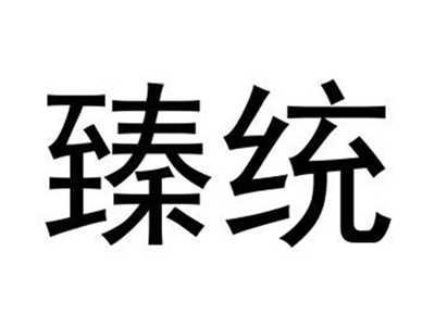 臻统