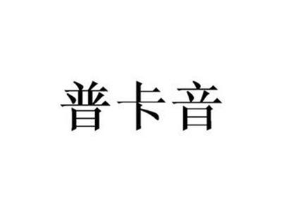 普卡音