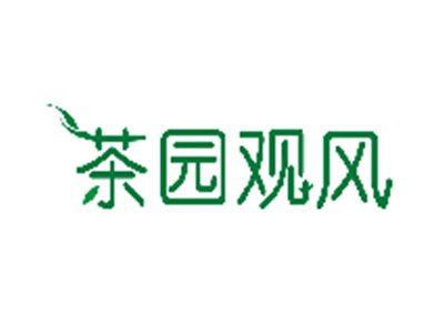 茶园观风