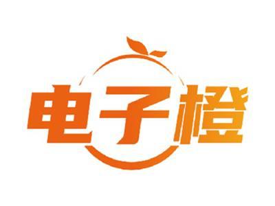 电子橙