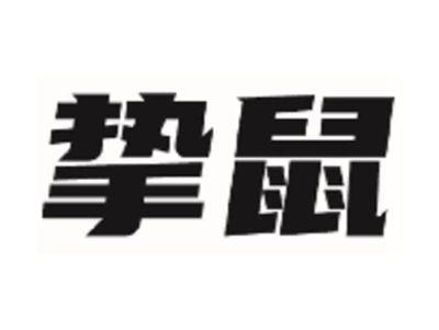 挚鼠