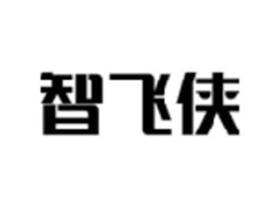 智飞侠