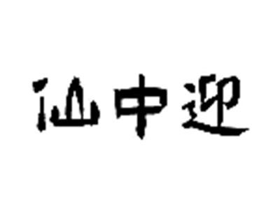 仙中迎