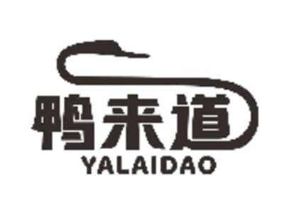 鸭来道
