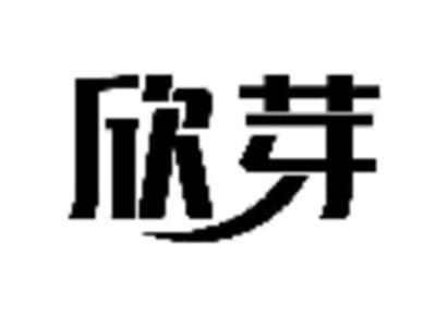 欣芽