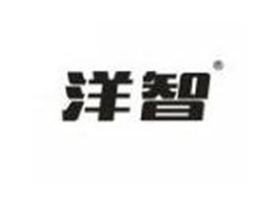洋智