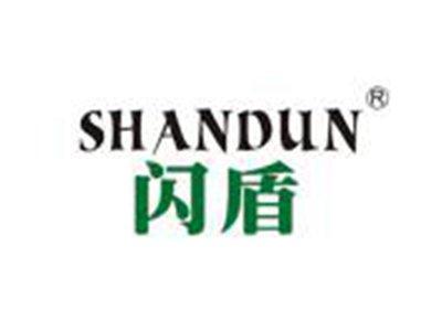 闪盾