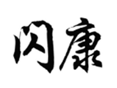 闪康