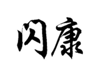 闪康