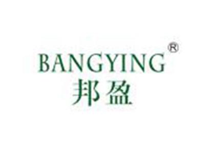 邦盈