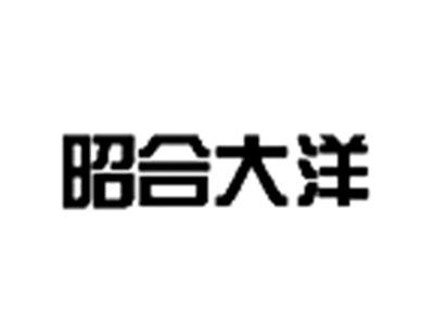 昭和大洋