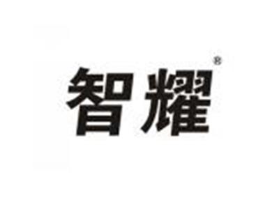 智耀