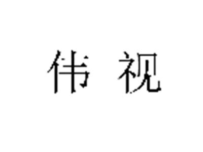 伟视
