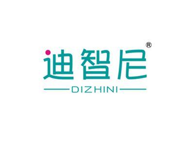 迪智尼