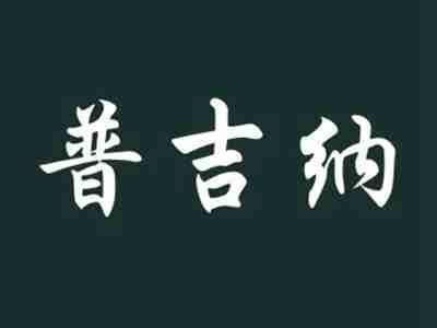 普吉纳