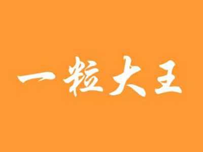 一粒大王