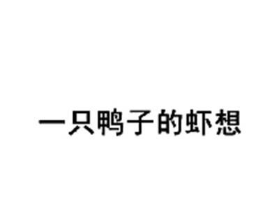 一只鸭子的虾想