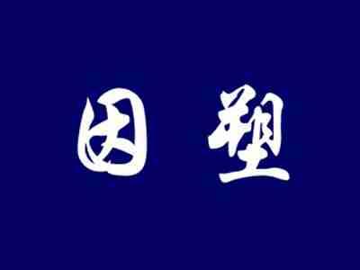 因塑