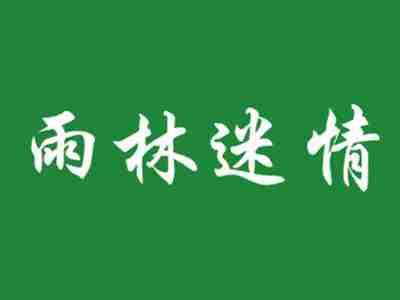 雨林迷情