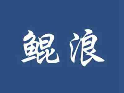 鲲浪